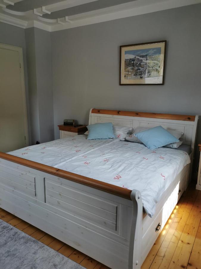 Ferienwohnung In Waldrandlage In Nationalpark Schleiden / Eifel Esterno foto