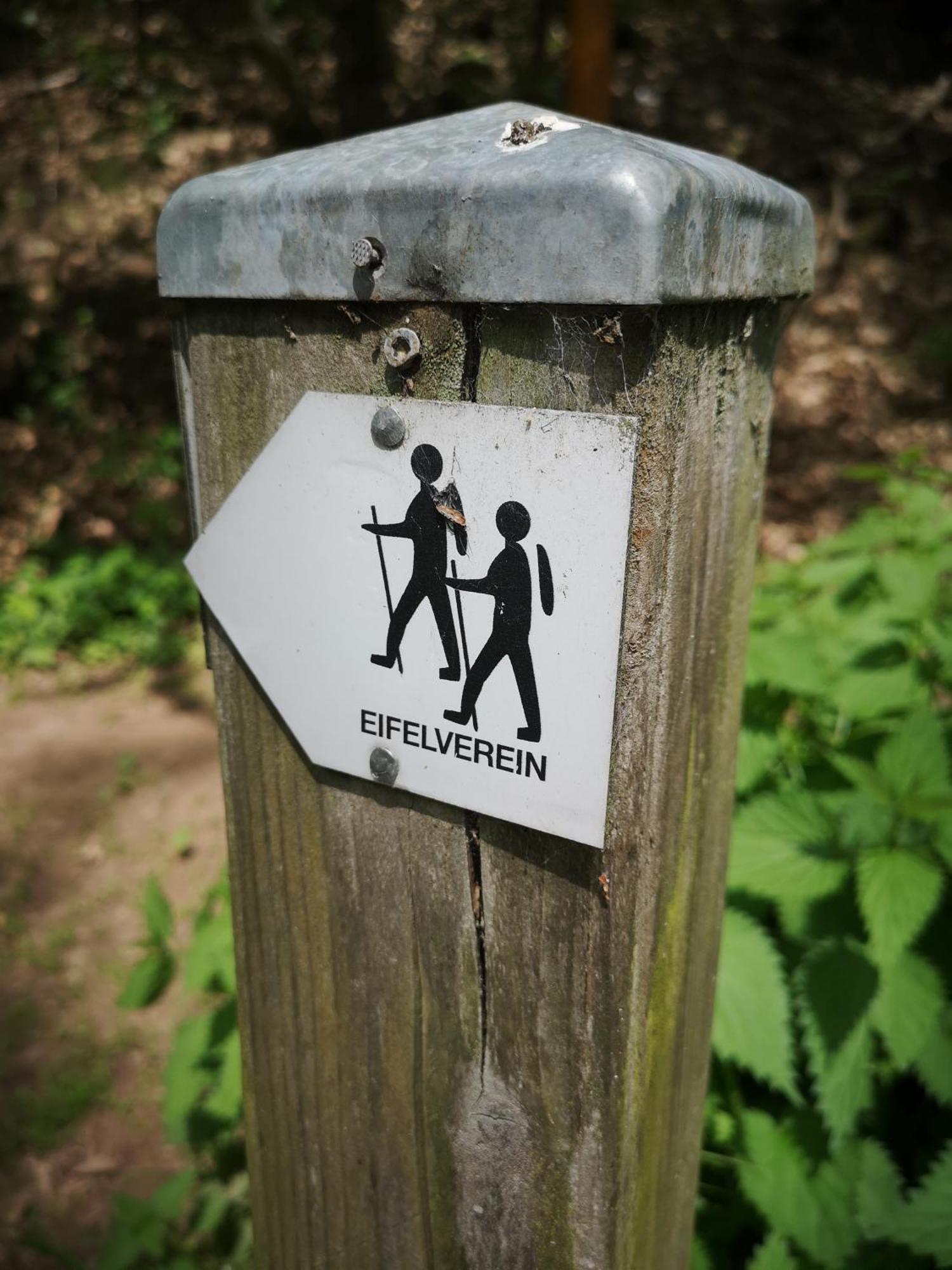 Ferienwohnung In Waldrandlage In Nationalpark Schleiden / Eifel Esterno foto