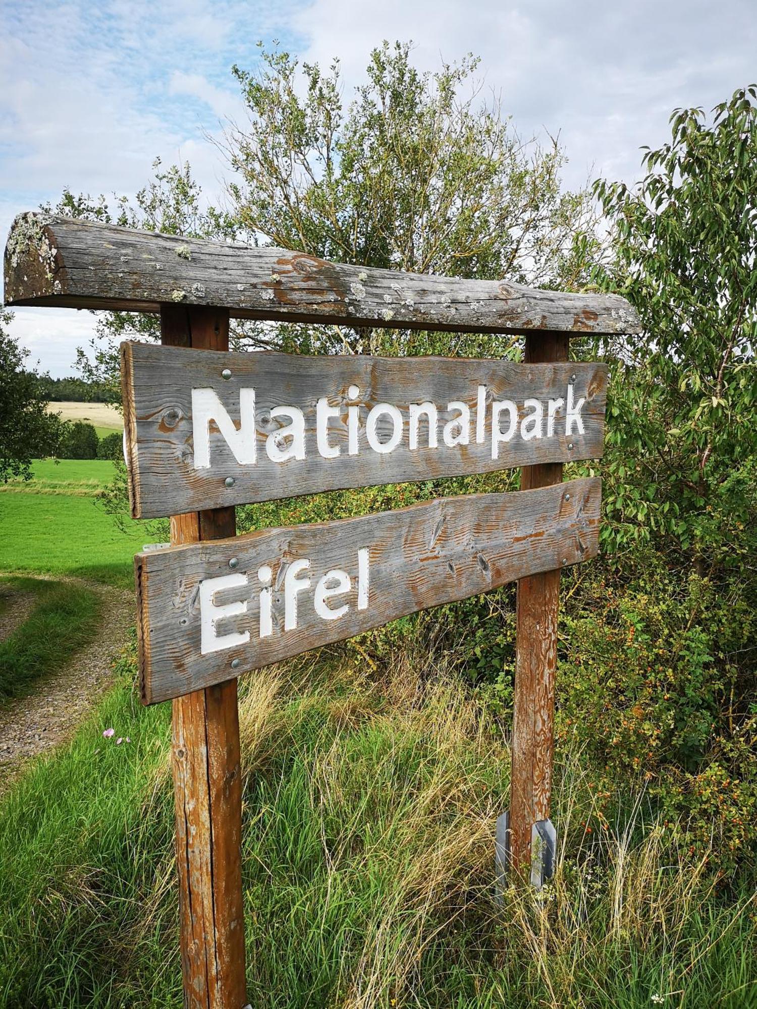 Ferienwohnung In Waldrandlage In Nationalpark Schleiden / Eifel Esterno foto