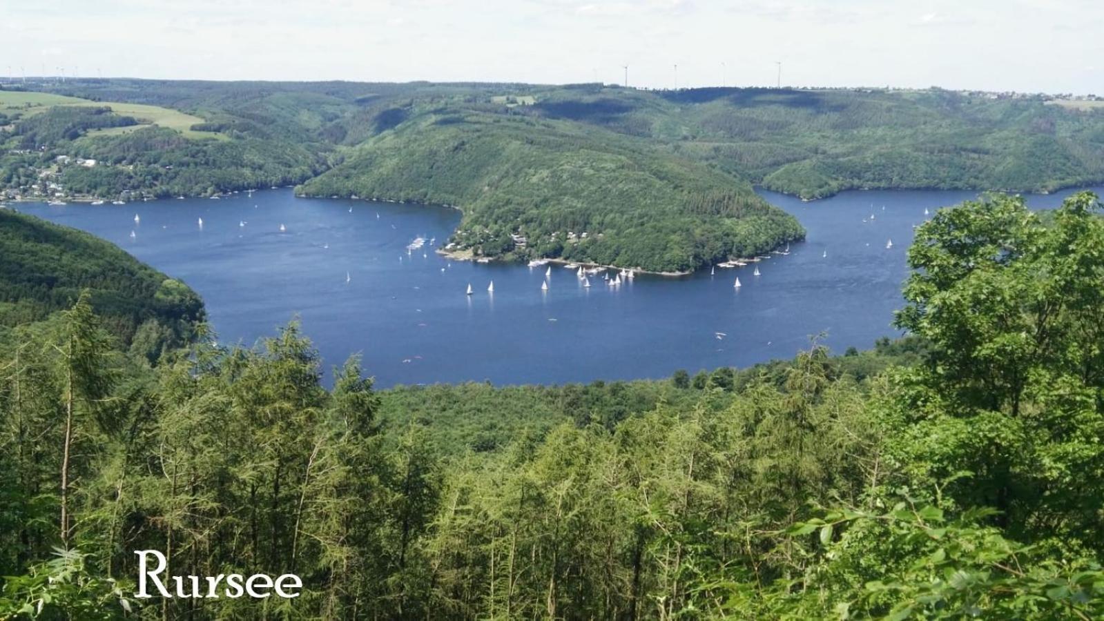 Ferienwohnung In Waldrandlage In Nationalpark Schleiden / Eifel Esterno foto