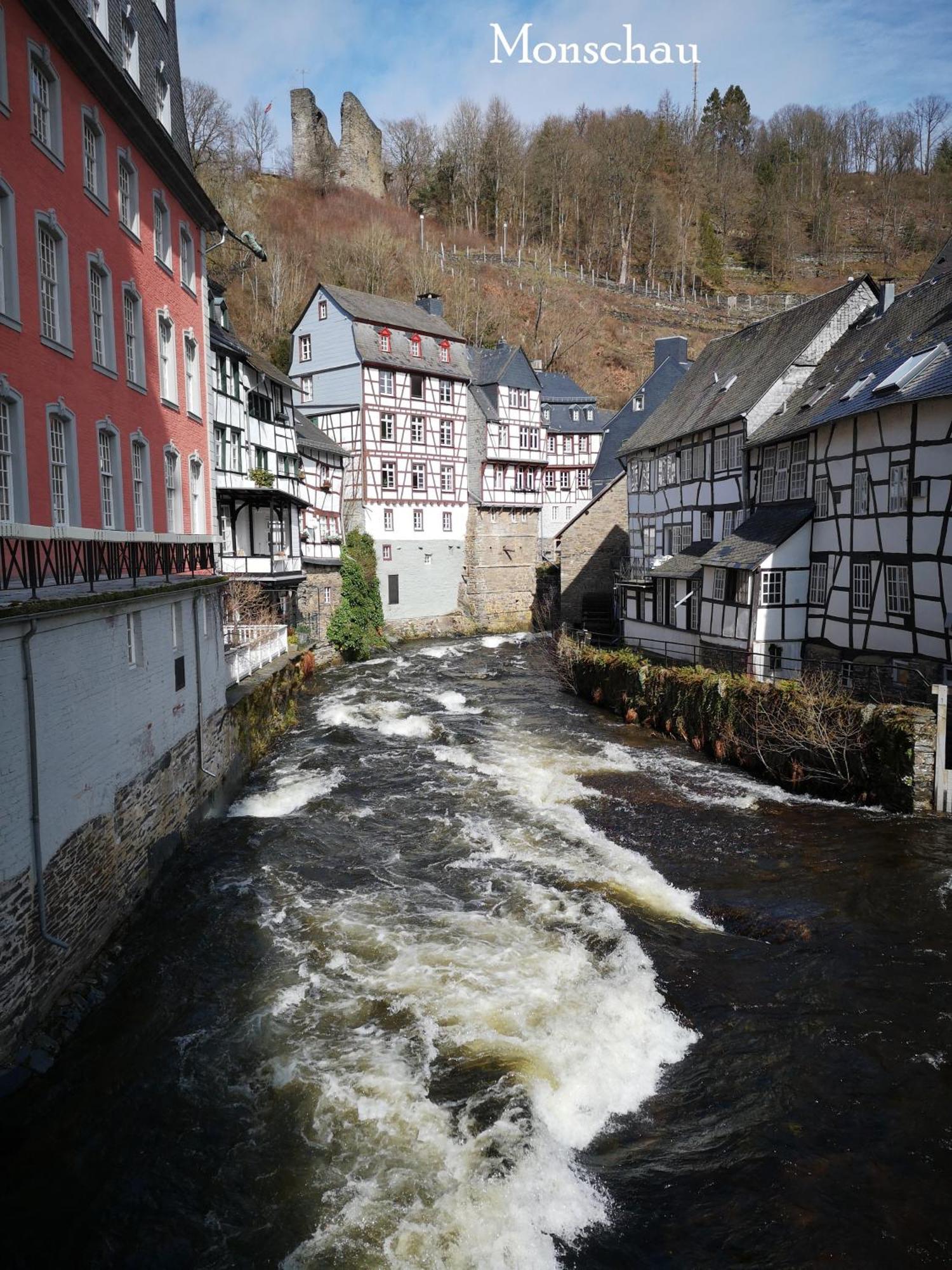 Ferienwohnung In Waldrandlage In Nationalpark Schleiden / Eifel Esterno foto
