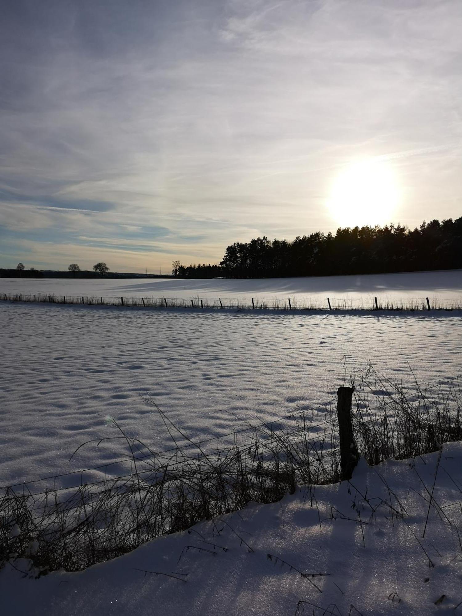 Ferienwohnung In Waldrandlage In Nationalpark Schleiden / Eifel Esterno foto