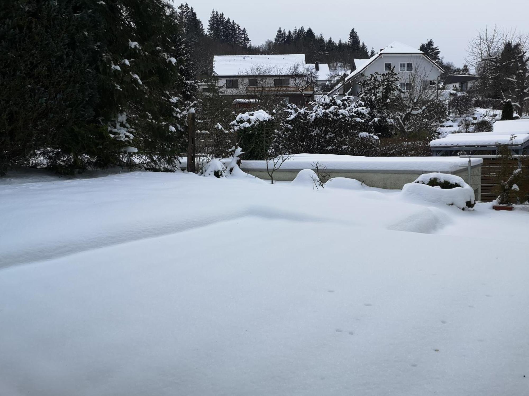 Ferienwohnung In Waldrandlage In Nationalpark Schleiden / Eifel Esterno foto
