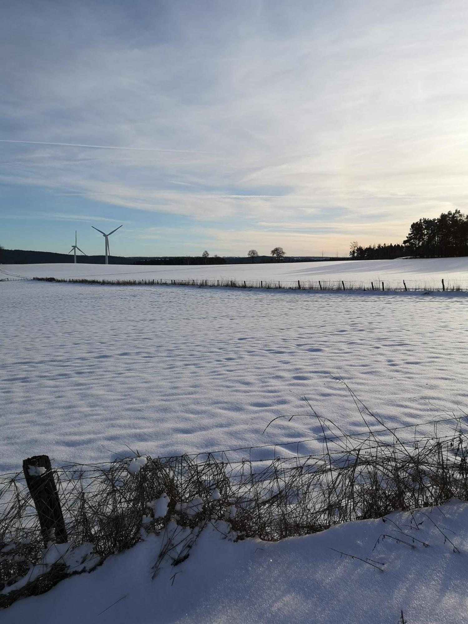 Ferienwohnung In Waldrandlage In Nationalpark Schleiden / Eifel Esterno foto