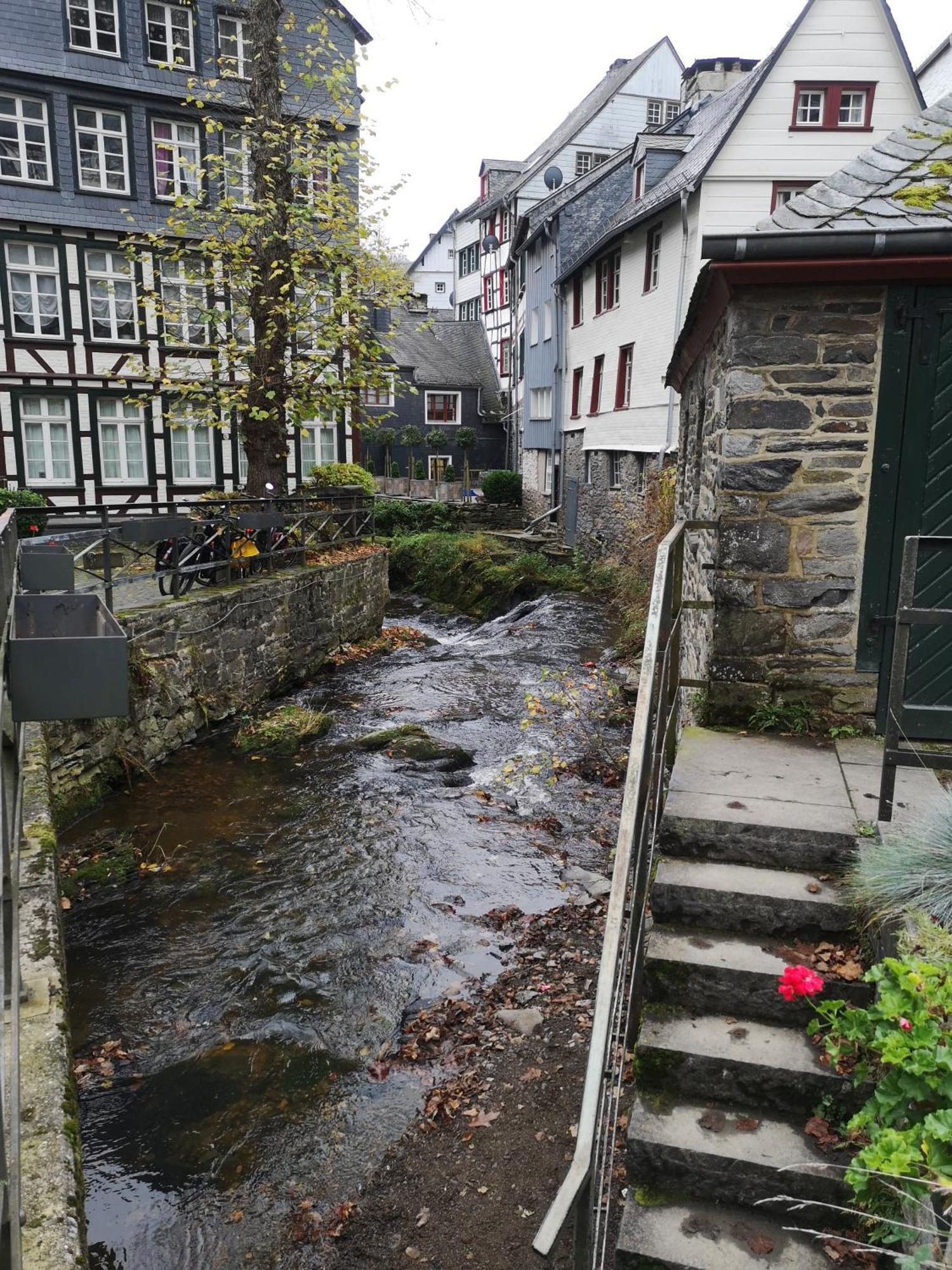Ferienwohnung In Waldrandlage In Nationalpark Schleiden / Eifel Esterno foto