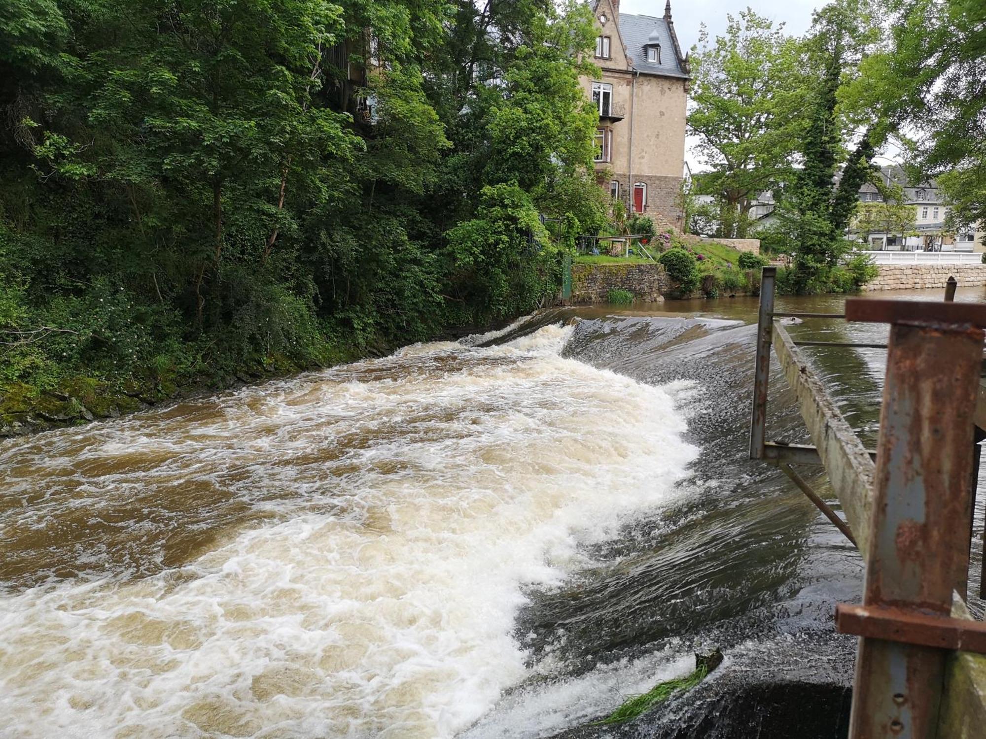 Ferienwohnung In Waldrandlage In Nationalpark Schleiden / Eifel Esterno foto