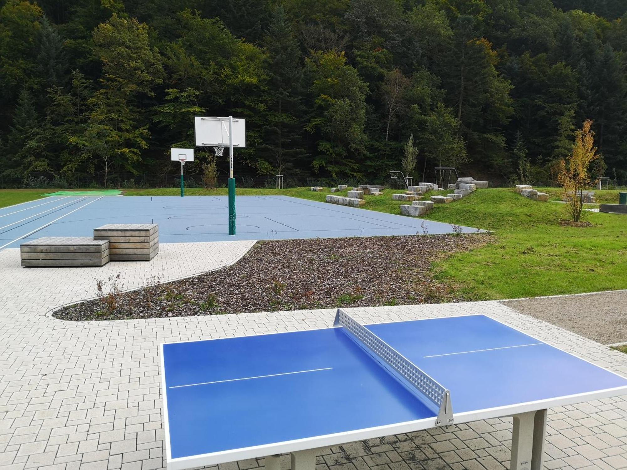 Ferienwohnung In Waldrandlage In Nationalpark Schleiden / Eifel Esterno foto
