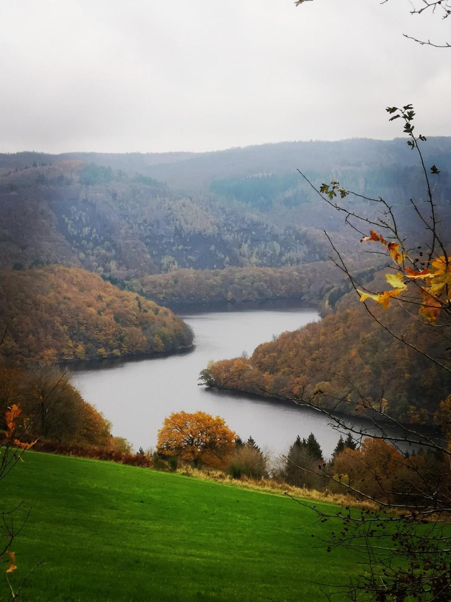 Ferienwohnung In Waldrandlage In Nationalpark Schleiden / Eifel Esterno foto